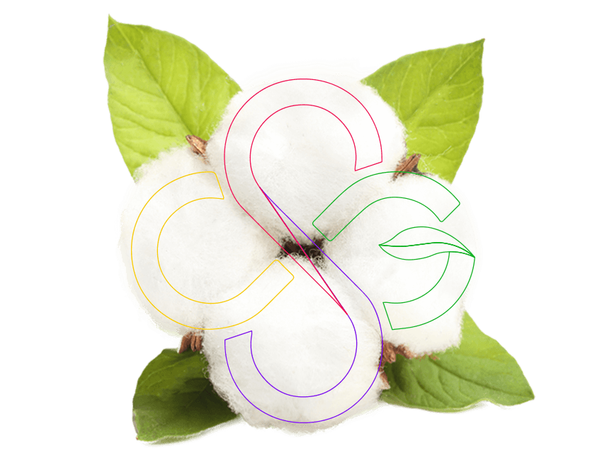 Hình tượng bông cotton tạo nên logo CGDP.vn